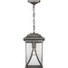 Progress Lighting - P550040-103 - One Light Hanging Lantern - Abbott - Antique Pewter