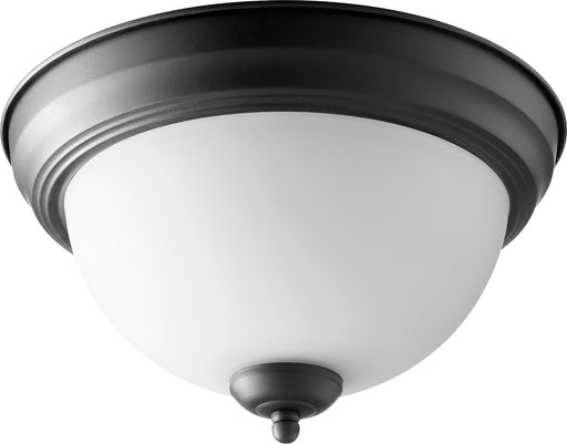 Two Light Ceiling Mount