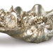 Clam Objet-Home Accents-Regina Andrew-Lighting Design Store