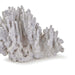 Coral Objet-Home Accents-Regina Andrew-Lighting Design Store