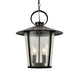 Crystorama - AND-9204-SD-MK - Four Light Outdoor Chandelier - Andover - Matte Black