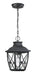 Designers Fountain - 34834-BK - One Light Hanging Lantern - Belmont - Black