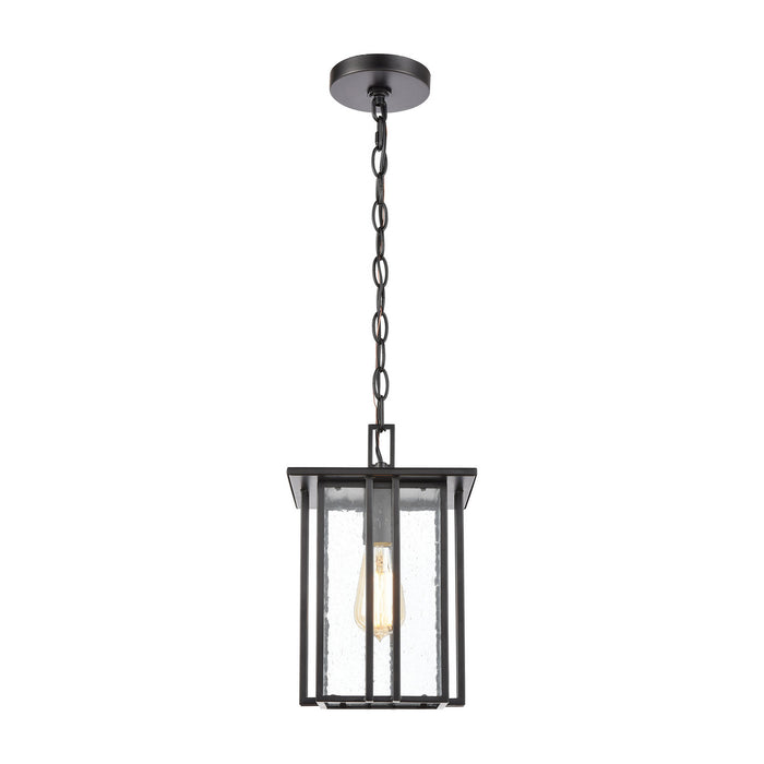 Radnor Outdoor Pendant-Exterior-ELK Home-Lighting Design Store