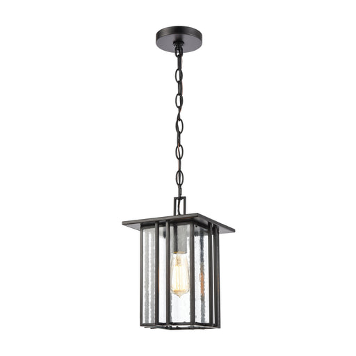 Elk Lighting - 46693/1 - One Light Outdoor Hanging Lantern - Radnor - Matte Black