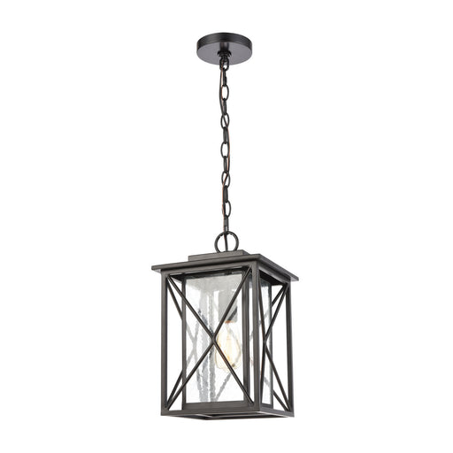 Elk Lighting - 46753/1 - One Light Outdoor Hanging Lantern - Carriage Light - Matte Black