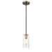 DVI Lighting - DVP24721BR+GR-CL - One Light Mini-Pendant - Barker - Brass and Graphite with Clear Glass