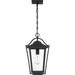 Darius Outdoor Hanging Lantern-Exterior-Quoizel-Lighting Design Store