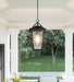Darius Outdoor Hanging Lantern-Exterior-Quoizel-Lighting Design Store