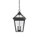Ellijay Outdoor Hanging Lantern-Exterior-Savoy House-Lighting Design Store