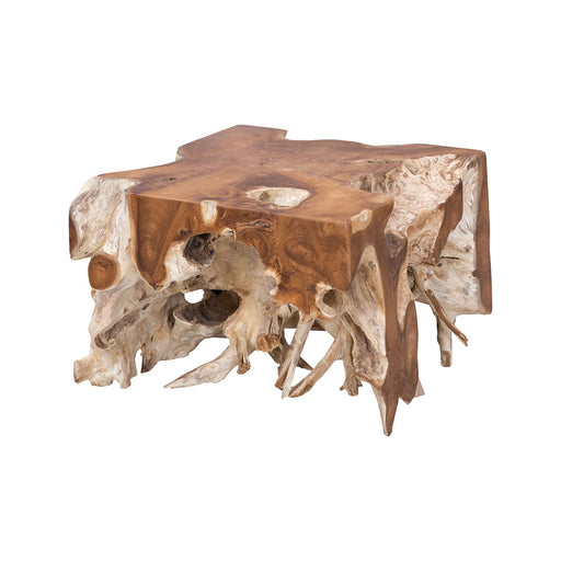 ELK Home - 7117523 - Cocktail Table - Root - Natural