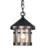 One Light Pendant-Exterior-Meyda Tiffany-Lighting Design Store