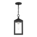 Nyack Outdoor Pendant-Exterior-Livex Lighting-Lighting Design Store