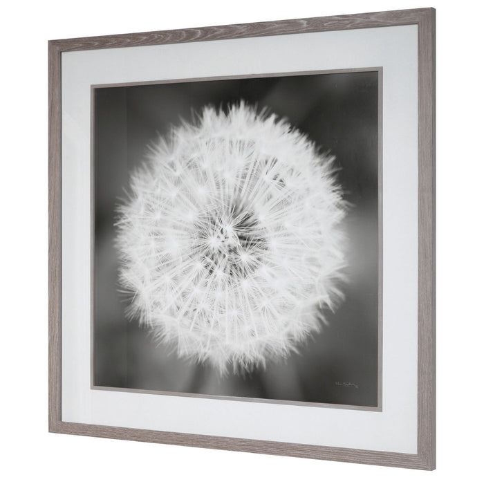 Uttermost - 33711 - Framed Print - Dandelion Seedhead - Driftwood Look