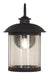 Craftmade - ZA3224-DBG - One Light Outdoor Lantern - O'Fallon - Dark Bronze Gilded