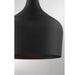 Meridian - M70020MBK - One Light Pendant - Mpend - Matte Black