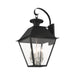 Wenrth Outdoor Wall Lantern-Exterior-Livex Lighting-Lighting Design Store