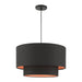 Sentosa Pendant-Pendants-Livex Lighting-Lighting Design Store