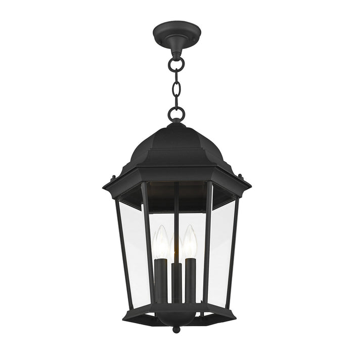 Hamilton Outdoor Pendant-Exterior-Livex Lighting-Lighting Design Store