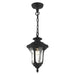 Oxford Outdoor Pendant-Exterior-Livex Lighting-Lighting Design Store