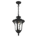 Oxford Outdoor Pendant-Exterior-Livex Lighting-Lighting Design Store