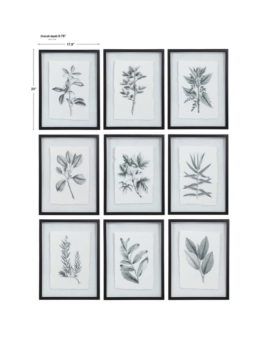 Uttermost - 41617 - Wall Art - Farmhouse Florals - Matte Black