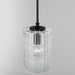 Emerson Pendant-Mini Pendants-Capital Lighting-Lighting Design Store