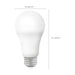 Light Bulb-Bulbs-Satco-Lighting Design Store