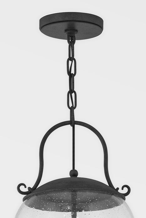 Troy Lighting - F5186-FRN - Four Light Pendant - Napa County - French Iron
