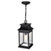 CWI Lighting - 0418P7S-1 - One Light Outdoor Pendant - Milford - Black