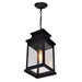 CWI Lighting - 0418P7S-1 - One Light Outdoor Pendant - Milford - Black