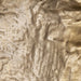 Uttermost - 04315 - Wall Decor - Archive - Brass