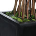 Uttermost - 60188 - Topiary - Preserved Boxwood - Satin Black