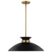 Nuvo Lighting - 60-7461 - One Light Pendant - Perkins - Matte Black / Burnished Brass