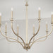 Capital Lighting - 444881BS - Eight Light Chandelier - Breigh - Brushed Champagne