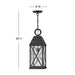 Hinkley - 23302MB - One Light Hanging Lantern - Briar - Museum Black