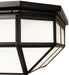 Meyda Tiffany - 248121 - LED Flushmount - Gibbon