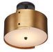 Currey and Company - 9999-0063 - One Light Semi-Flush Mount - Antique Brass/Black