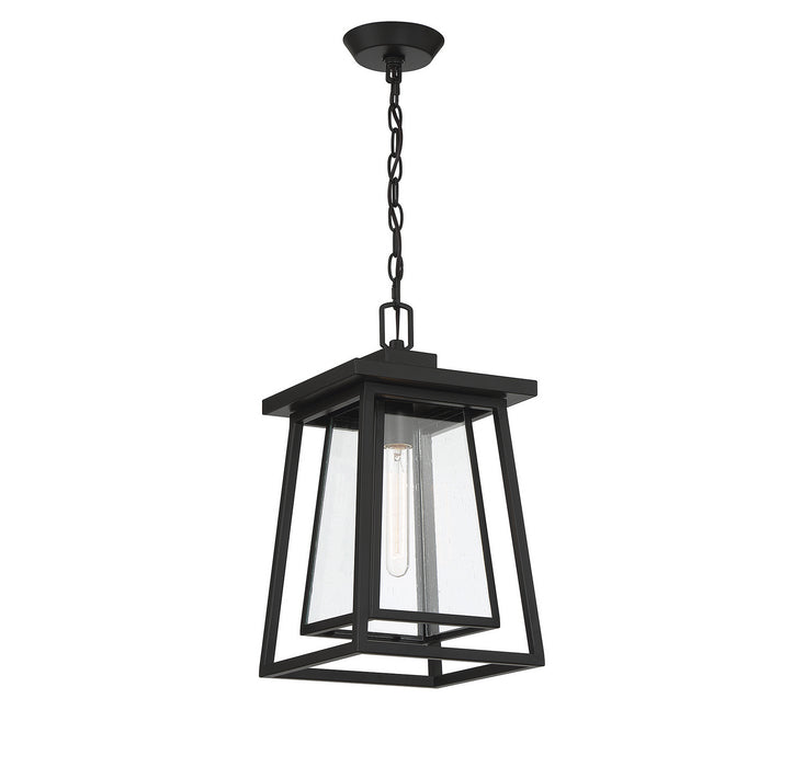 Savoy House - 5-2025-BK - One Light Outdoor Hanging Lantern - Denver - Matte Black