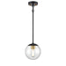DVI Lighting - DVP43121MF+EB-CL - One Light Pendant - Mackenzie Delta - Multiple Finishes and Ebony with Clear Glass