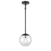 DVI Lighting - DVP43121MF+EB-CL - One Light Pendant - Mackenzie Delta - Multiple Finishes and Ebony with Clear Glass