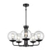 DVI Lighting - DVP43125MF+EB-CL - Five Light Chandelier - Mackenzie Delta - Multiple Finishes and Ebony with Clear Glass