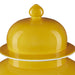 Currey and Company - 1200-0581 - Jar - Yellow