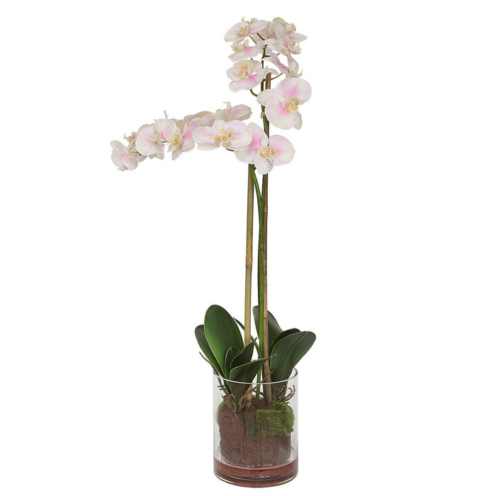 Uttermost - 60196 - Orchid - Blush Orchid - Light Pink And White