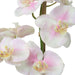 Uttermost - 60196 - Orchid - Blush Orchid - Light Pink And White