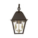 Livex Lighting - 27215-07 - Two Light Outdoor Wall Lantern - Wentworth - Bronze with Antique Brass Finish Cluster
