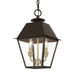 Livex Lighting - 27217-07 - Two Light Outdoor Pendant - Wentworth - Bronze with Antique Brass Finish Cluster