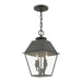 Livex Lighting - 27217-61 - Two Light Outdoor Pendant - Wentworth - Charcoal