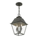 Livex Lighting - 27217-61 - Two Light Outdoor Pendant - Wentworth - Charcoal