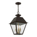 Livex Lighting - 27220-07 - Three Light Outdoor Pendant - Wentworth - Bronze with Antique Brass Finish Cluster