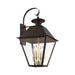Livex Lighting - 27222-07 - Four Light Outdoor Wall Lantern - Wentworth - Bronze with Antique Brass Finish Cluster
